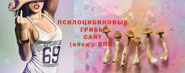 стаф Костерёво