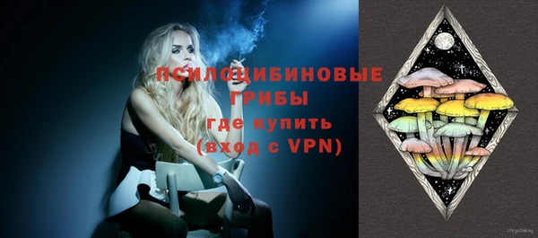 стаф Костерёво