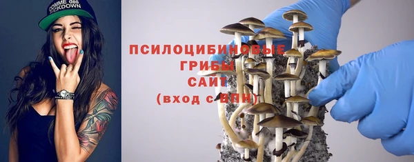 стаф Костерёво