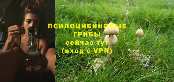 стаф Костерёво