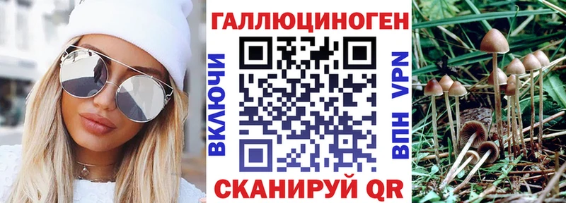 Купить  Приволжск  Псилоцибиновые грибы ЛСД 